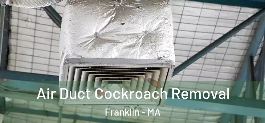 Air Duct Cockroach Removal Franklin - MA