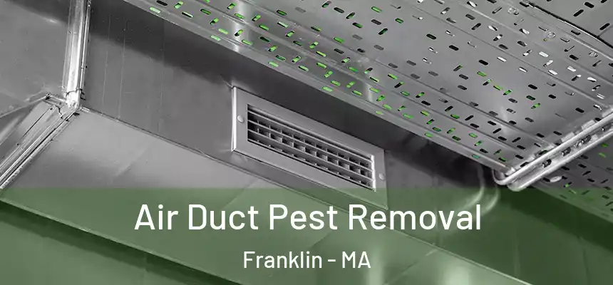  Air Duct Pest Removal Franklin - MA