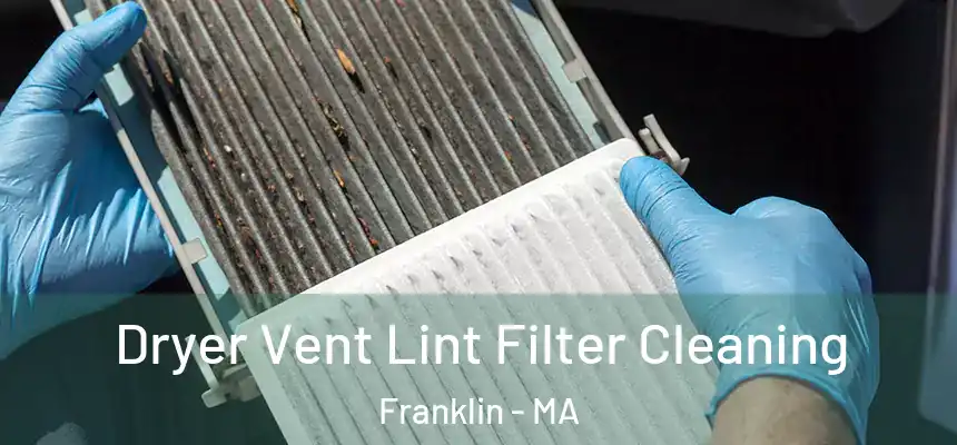  Dryer Vent Lint Filter Cleaning Franklin - MA