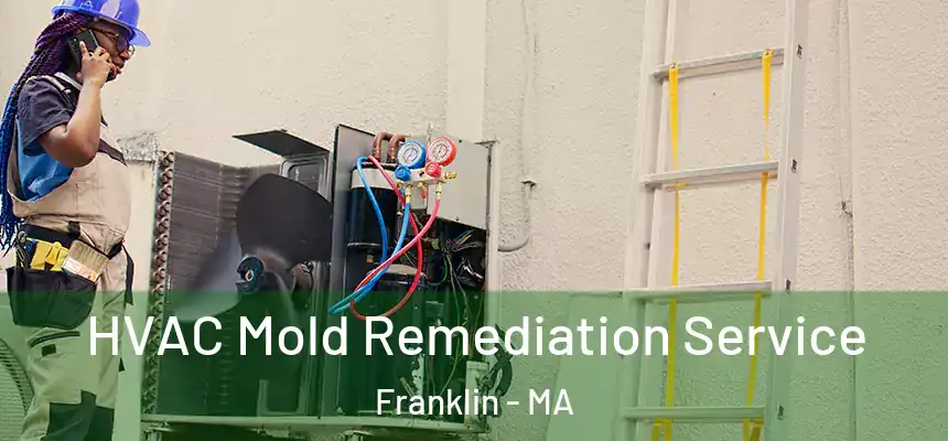  HVAC Mold Remediation Service Franklin - MA