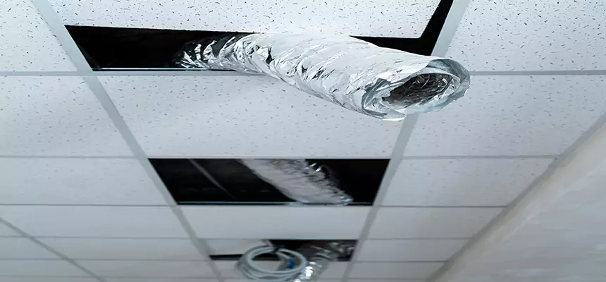 Our Air Duct Pet Hair Removal Services in Franklin, MA