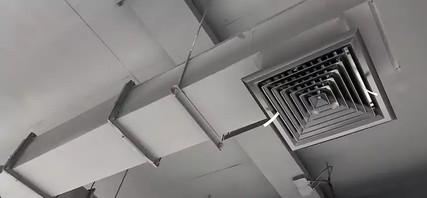 Our Rodent Droppings In Vents Services in Franklin, MA