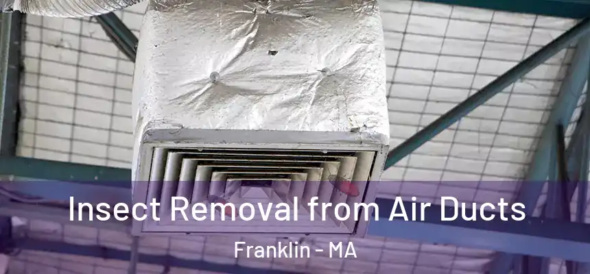  Insect Removal from Air Ducts Franklin - MA