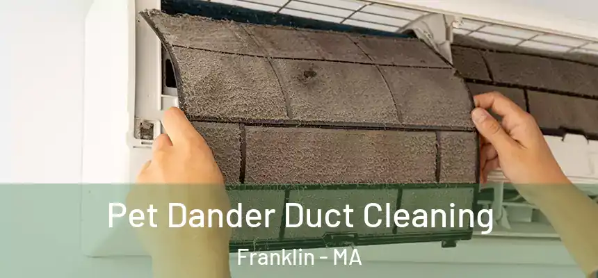  Pet Dander Duct Cleaning Franklin - MA