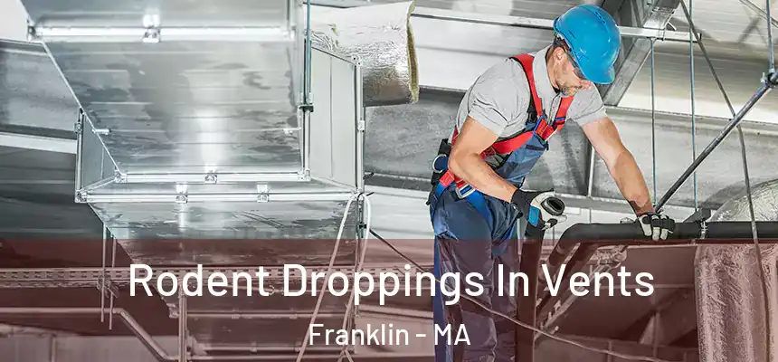  Rodent Droppings In Vents Franklin - MA