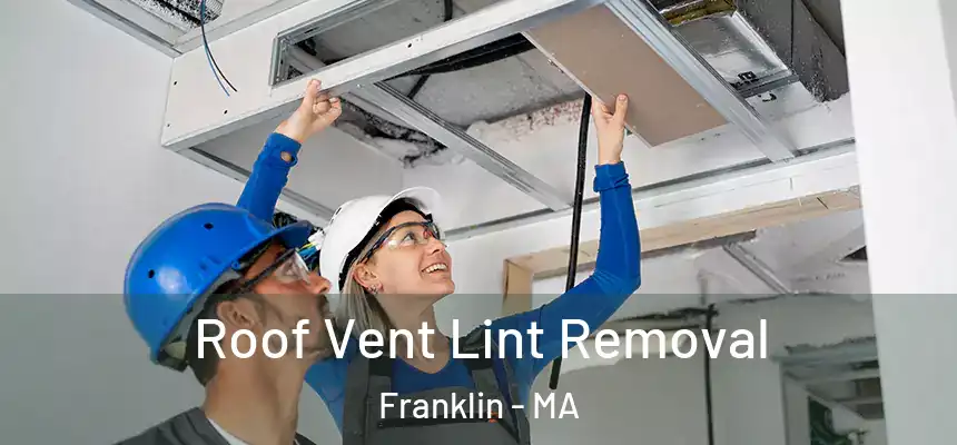  Roof Vent Lint Removal Franklin - MA