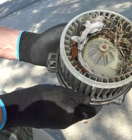 About Air Duct Mice Removal in Franklin, MA