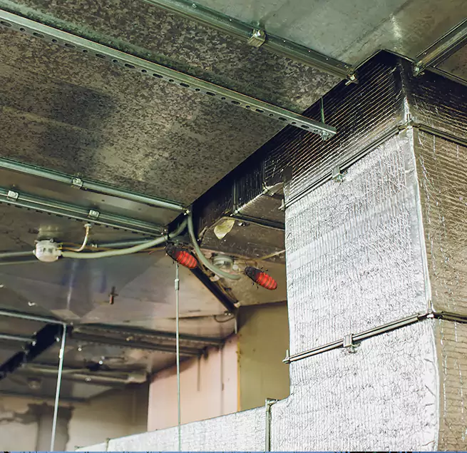 Why Homeowners & Businesses Trust Us in Franklin, MA?